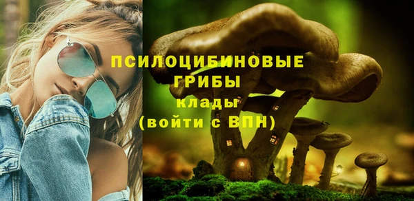 гидропоника Инта