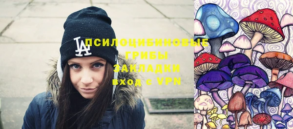 гидропоника Инта