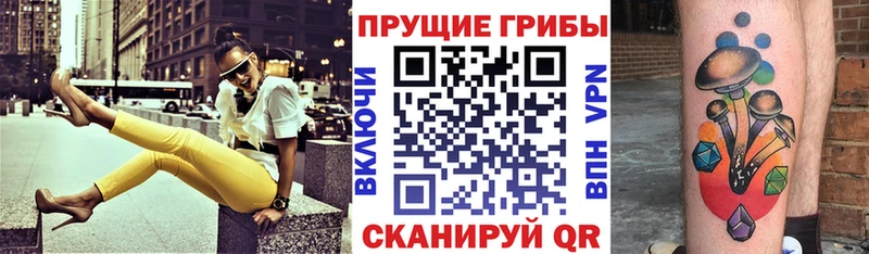 Купить  Донской  Галлюциногенные грибы прущие грибы 